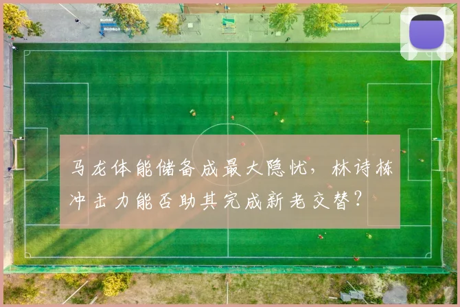 马龙体能储备成最大隐忧，林诗栋冲击力能否助其完成新老交替？